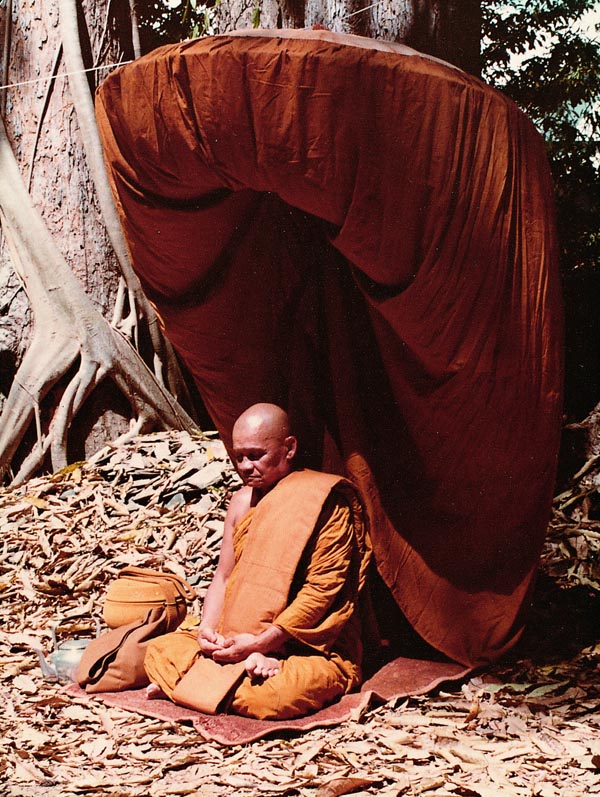 Ajahn_Chah_Forest_Monk Ajahn Chah in Forest Meditation